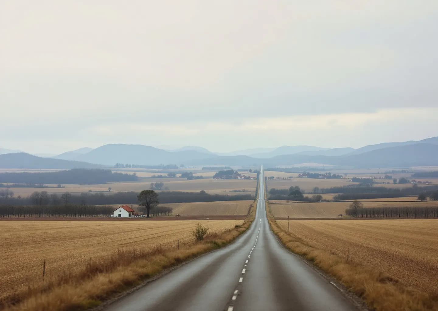 Route droite dans une plaine agricole, fermes isolées et rangées de platanes, montagnes au loin